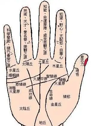 女人看手相算命图解