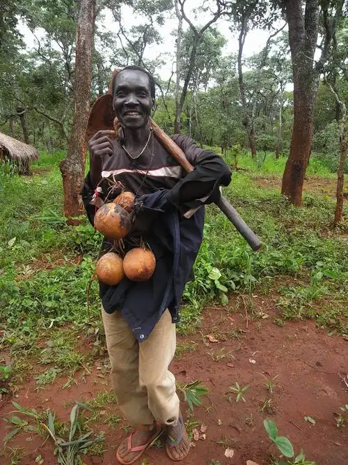 赞比亚人是标准的黑人