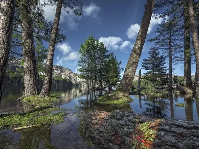 下载壁纸 1600x1200 树,湖,山,云 桌面背景