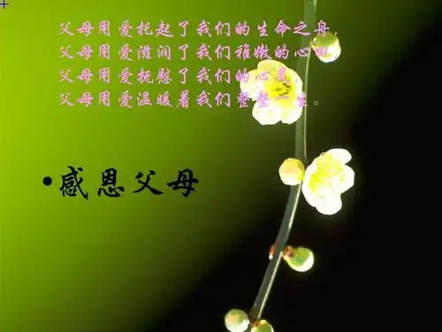 高中主题班会课件::感恩父母教学ppt1