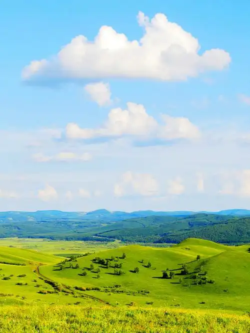 p8max壁纸征集夏日草原