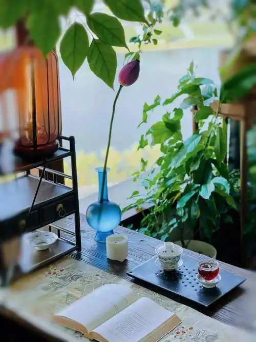 看书喝茶是我最爱的解压方式你的呢