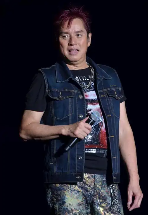 谭咏麟演唱会现场