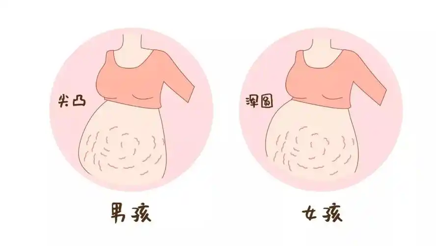 俏管家家政尖肚子生男孩圆肚子生女孩靠谱吗