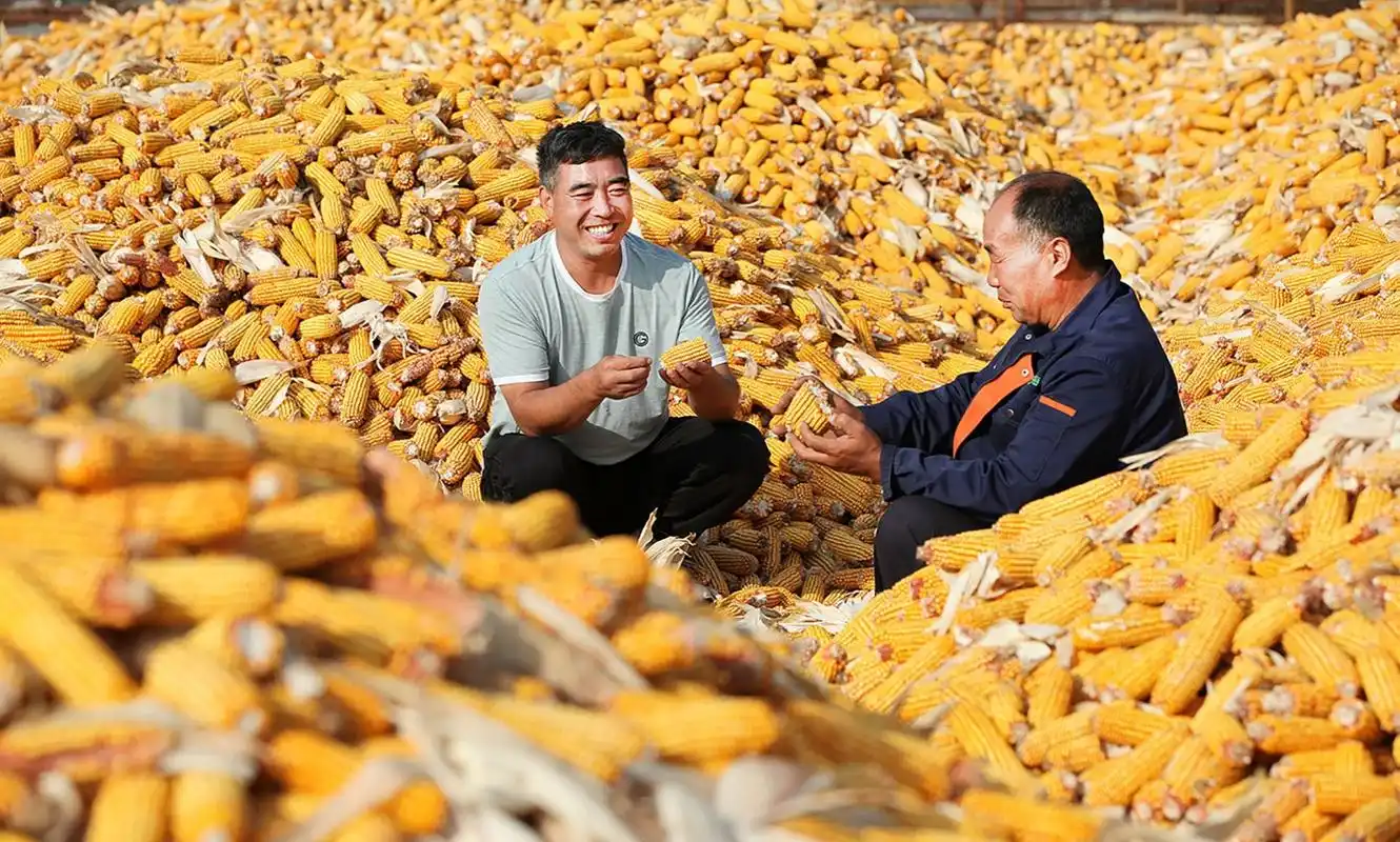 央广时评让农民节日普惠农民