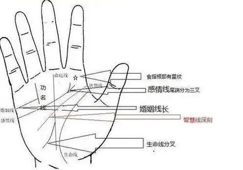 女人手相事业线图解_手相图解婚姻线图解_手相成功线大全图解