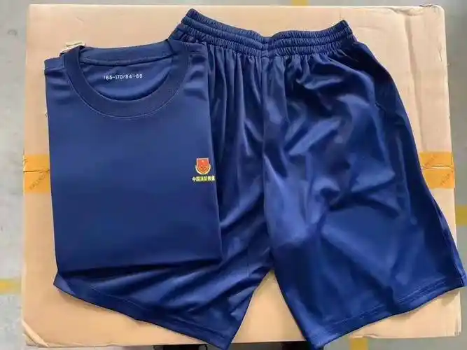 厂家批发新式消防火焰蓝训练服夏季男女t恤体能短袖套装单上衣_英英工