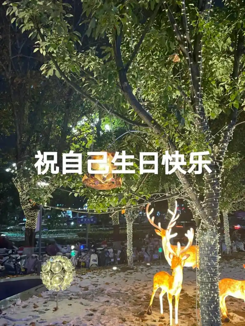 没有蛋糕!没有饭局!没有孩子的陪伴!生日快乐!