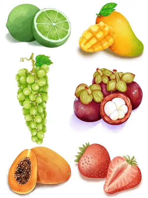 临摹手绘水果插画