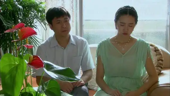 你是我的眼:花儿怀孕后一边是孩子一边是事业,花儿爸却苦口婆心-影视