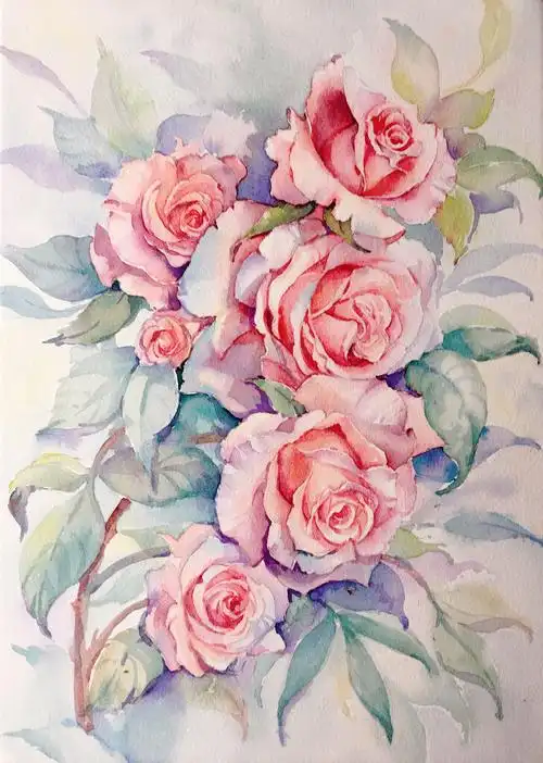 水彩花卉-红玫瑰_p.png__插画师作品_涂鸦王国gracg.com