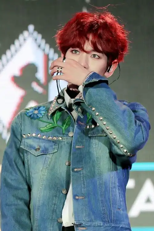 exocbx边伯贤红发