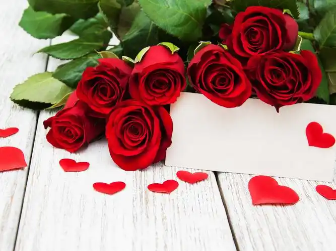 红玫瑰和爱的心,浪漫 iphone桌布