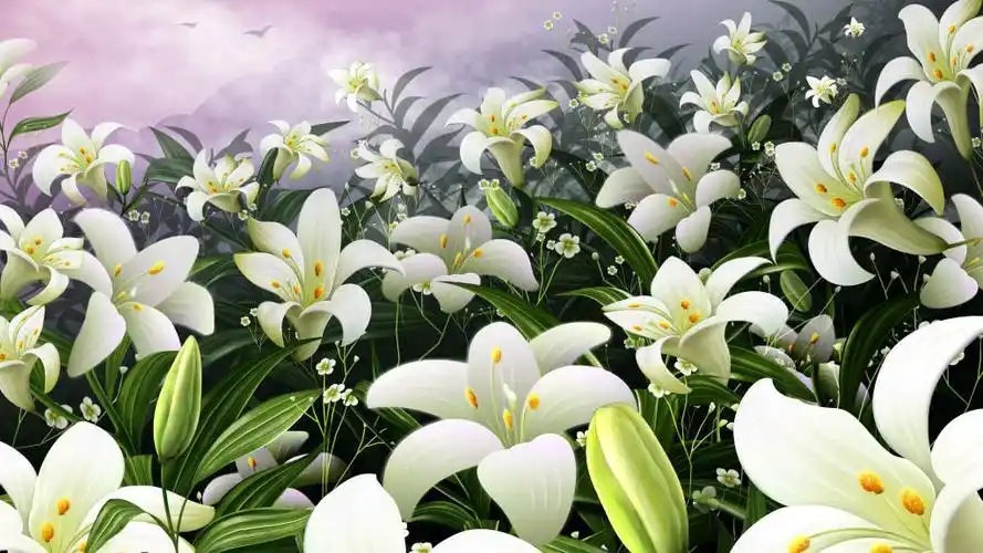浪漫百合花生长背景背景素材免费下载(图片编号:5375671)-六图网