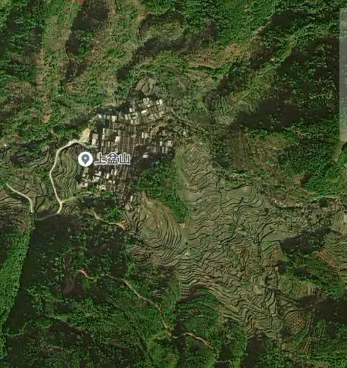 村庄所处山坑卫星图,梅林集中地在村后,有二百多亩