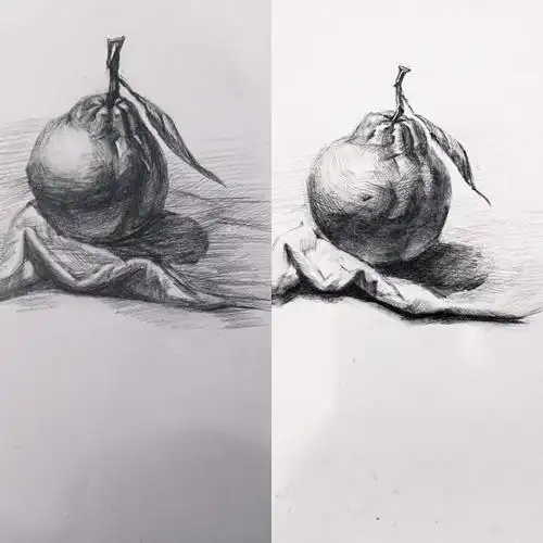 高中基础素描《丑橘》