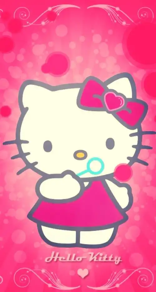 kitty是只胖猫咪