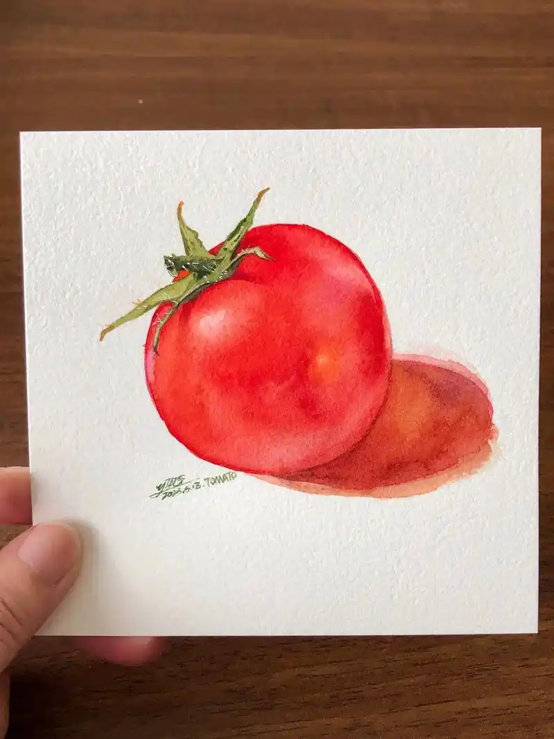 水彩蔬菜|番茄.美食西红柿手绘#画画 #约稿 #宁波画室 - 抖音