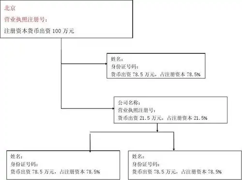 文档下载 所有分类 经管营销 财务管理 > 股权结构图关于公司股东承诺