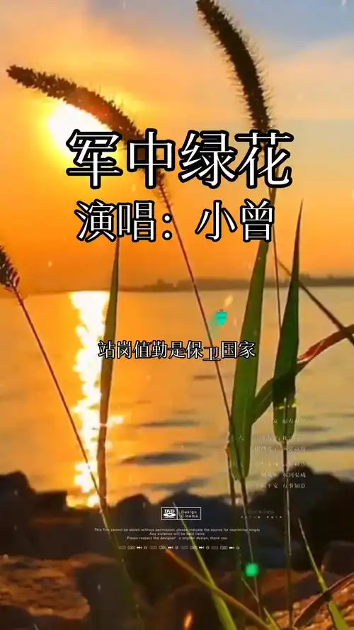 军中绿花 小曾 经典老歌 音乐分享 百听不厌