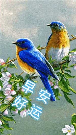 早上好问候美图早安问候语句