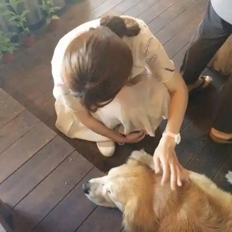 头像女生抱着狗简单气质 女生头像图片大全 -【爱个性】