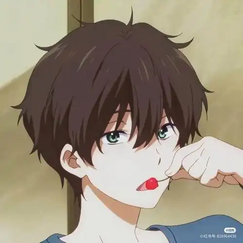 折木奉太郎动漫男头