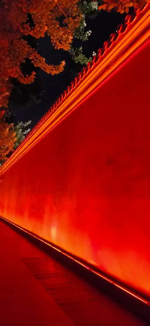 岁月无情催人老,不见当年少轻狂!