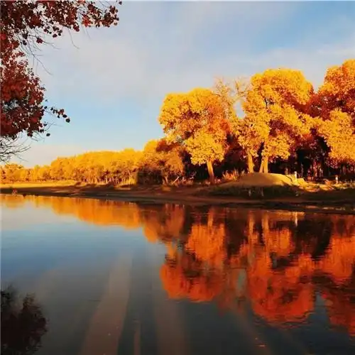 高清有氛围感唯美适合秋天的微信头像_风景微信头像_头像屋