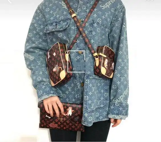 lv路易威登19sspaname猫咪限定系列二合一斜挎相机包m44399