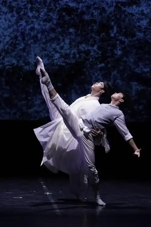 中央芭蕾舞团即将空降龙华天鹅湖免费看