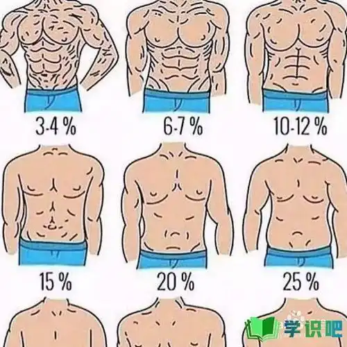 体脂率怎么计算