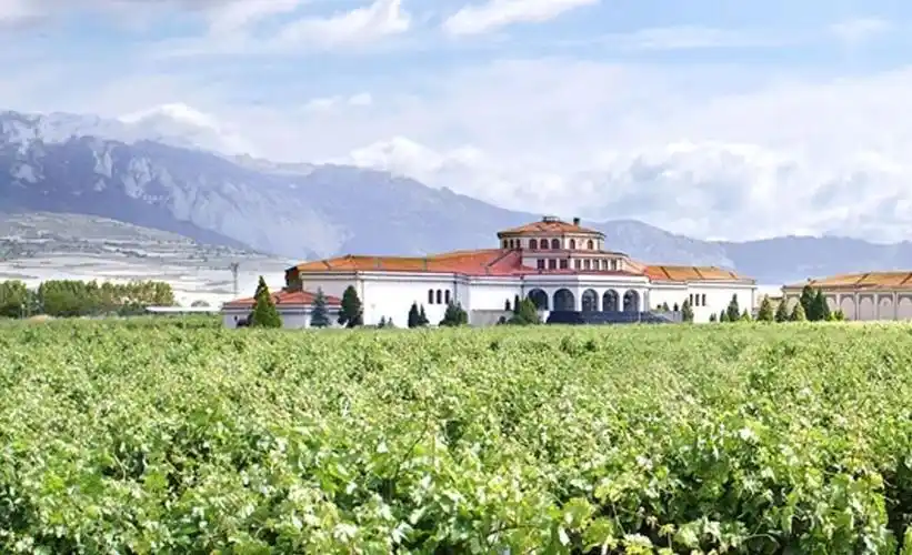 周末去哪玩?相约西班牙里奥哈好酒错过会后悔!_酒庄