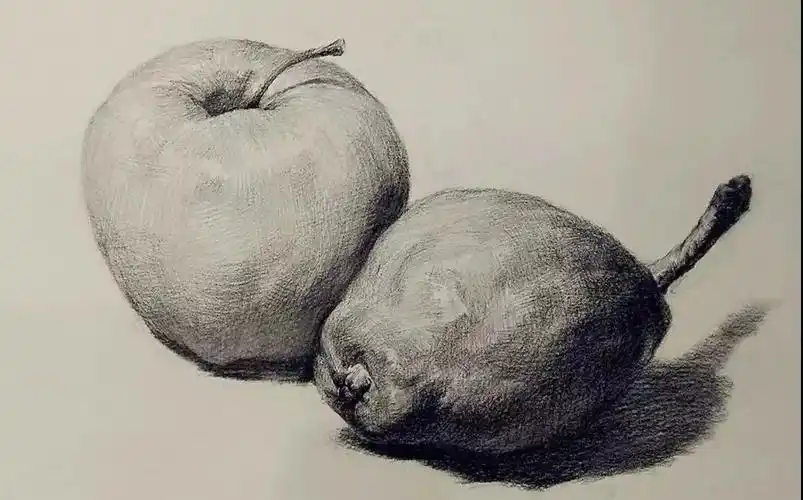 【合尚教育】素描静物教程》》苹果和梨该怎么画?