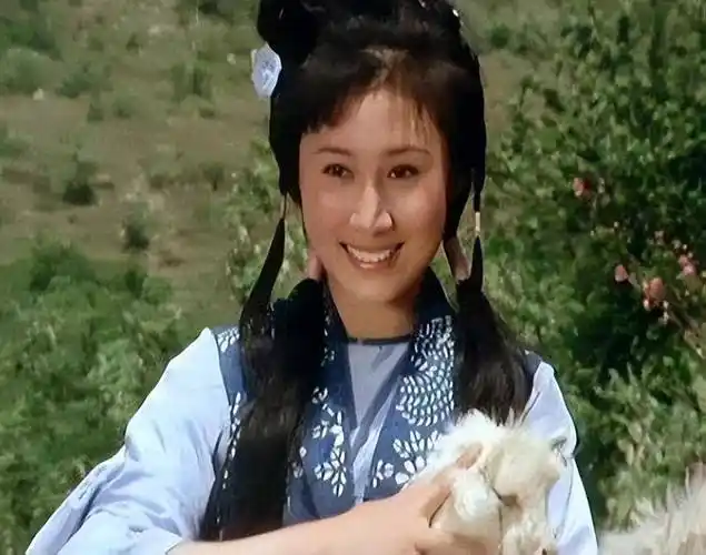 丁岚:因《少林寺》走红,巅峰时远走他国,如今回来经商成女子_李连杰