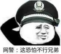 网警_这恐怕不行兄弟