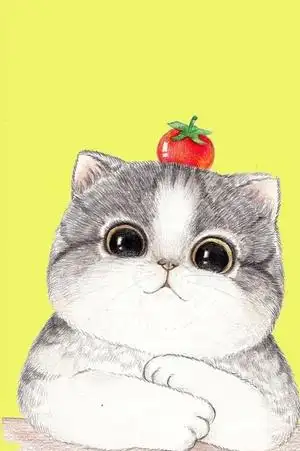 可爱的小猫 - 菜鸟图库