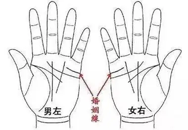 有两条婚姻线就一定会二婚吗?大师教你看手相