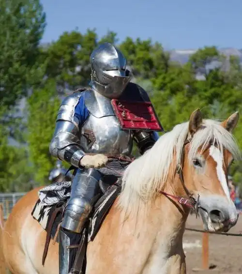 西欧中世纪骑士阶层的精神面貌,行为准则与社会地位演变