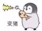 变猪- 斗图表情包 - 斗图神器 - adoutu.com