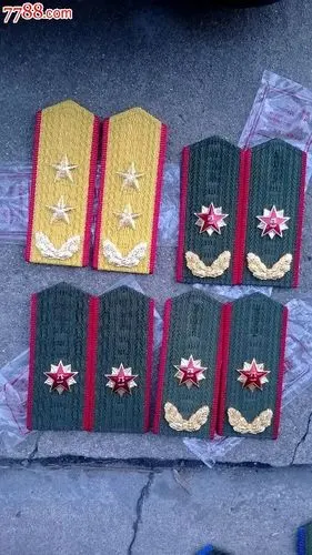 文职将官2副,军官1副,中将1副(都是87式的,请管理员莫删)