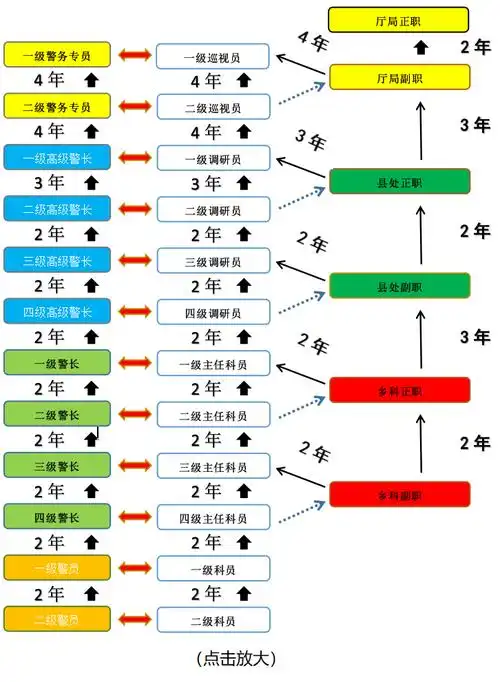 最全图解:套改后警察系列职务职级任职年限