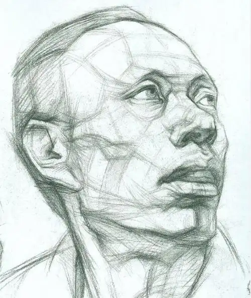 美术高考画素描头像需要了解的相关头部构造和结构