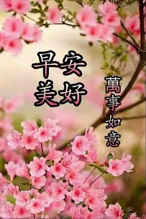 早安美好万事如意中老年人早安问候表情包