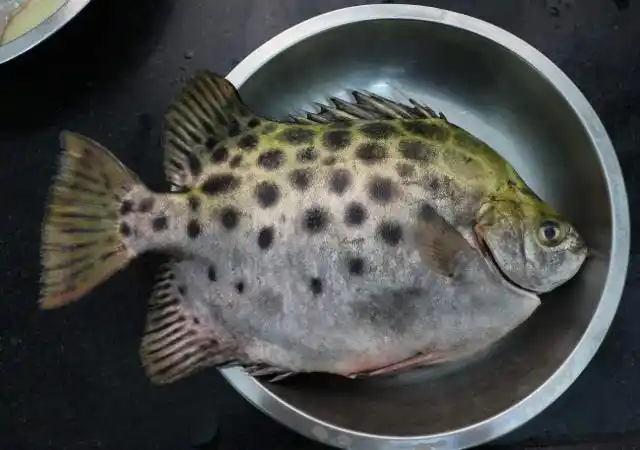 买海鱼,直接奔着这5种买,肉多刺少营养高,就算贵点也要舍得!