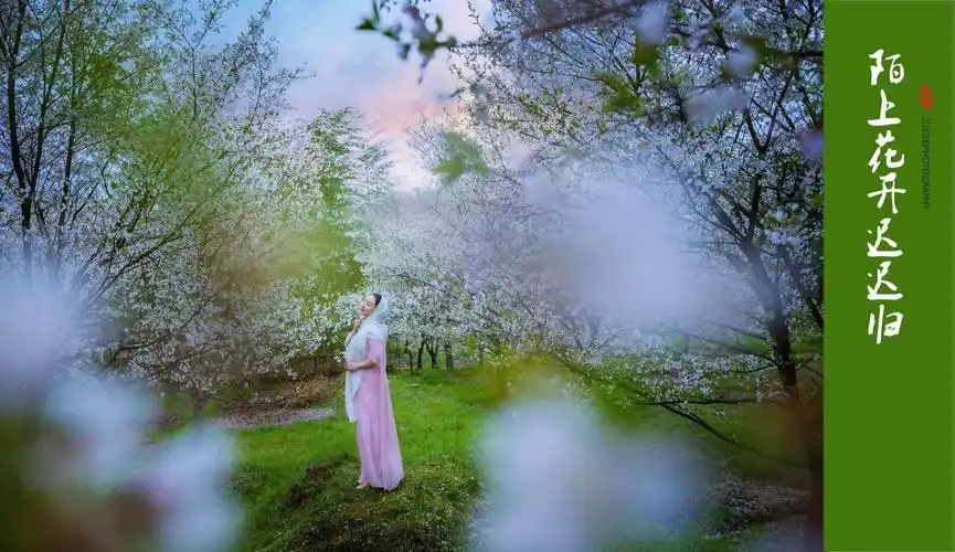 最美人生,淡然一笑