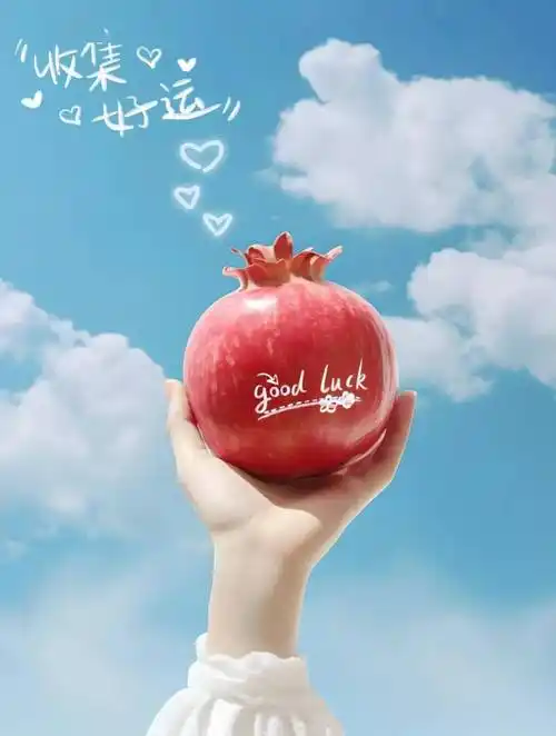 适合周二早晨10条优美文案,发朋友圈太赞了_生活_世界_初升