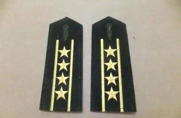 士兵突击:老a大队是专业化蓝军,什么编制?什么级别?