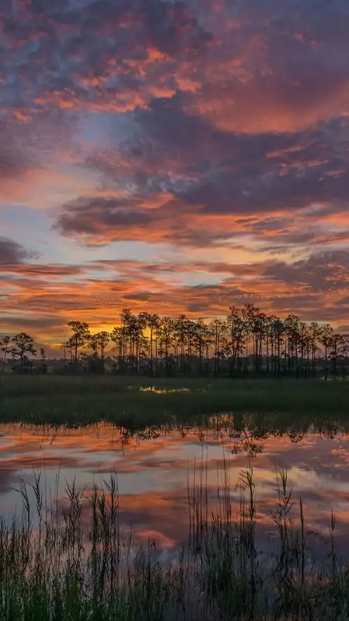 超清手机壁纸2k第一期夕阳