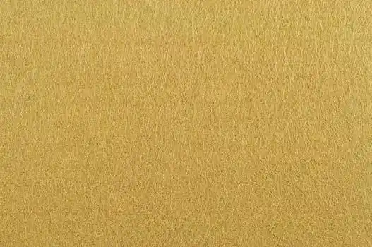 米黄色图片_米黄色图片大全_米黄色图片素材